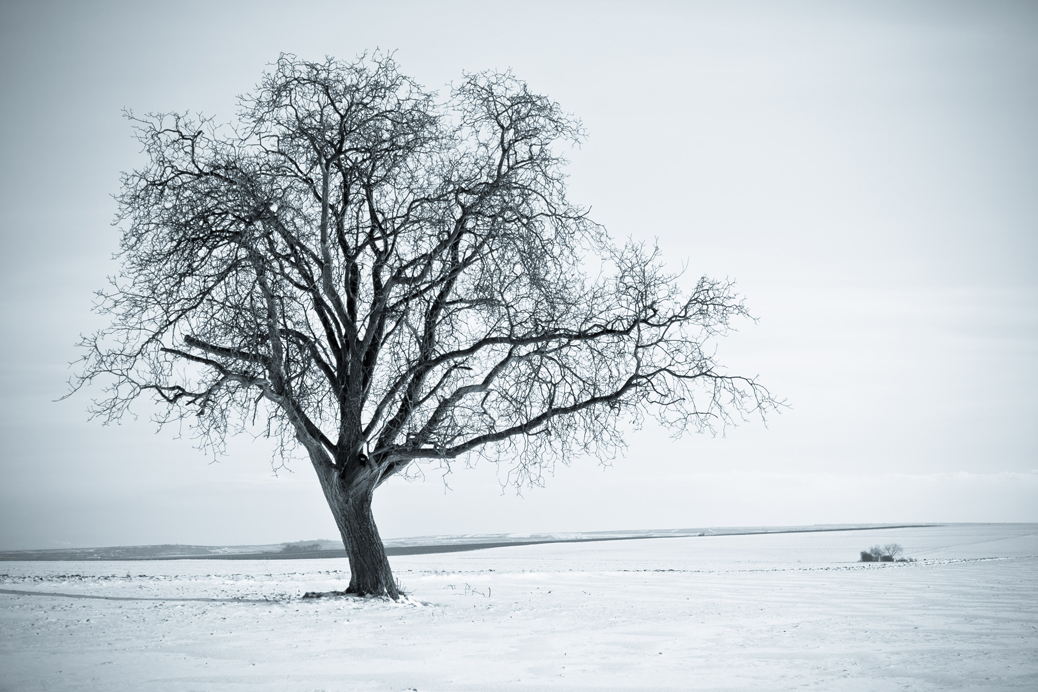 (©) Bernd Beisel - Winter