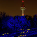 Winterlichter, Mannheim Luisenpark